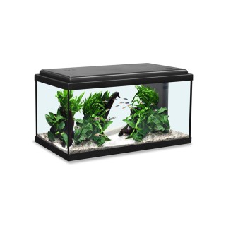 Aquatlantis Aquarium Advance LED 60 schwarz