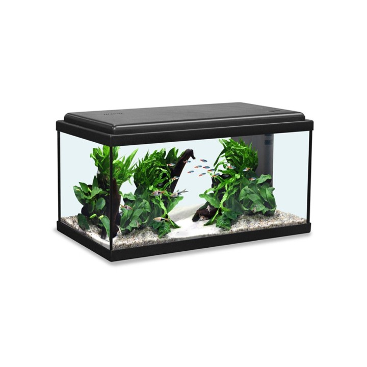 Aquatlantis Aquarium Advance LED 60 schwarz