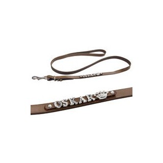 Schecker - MyName Lederleine, braun [120 cm x 15 mm - Buchstabentyp: Cowboy]