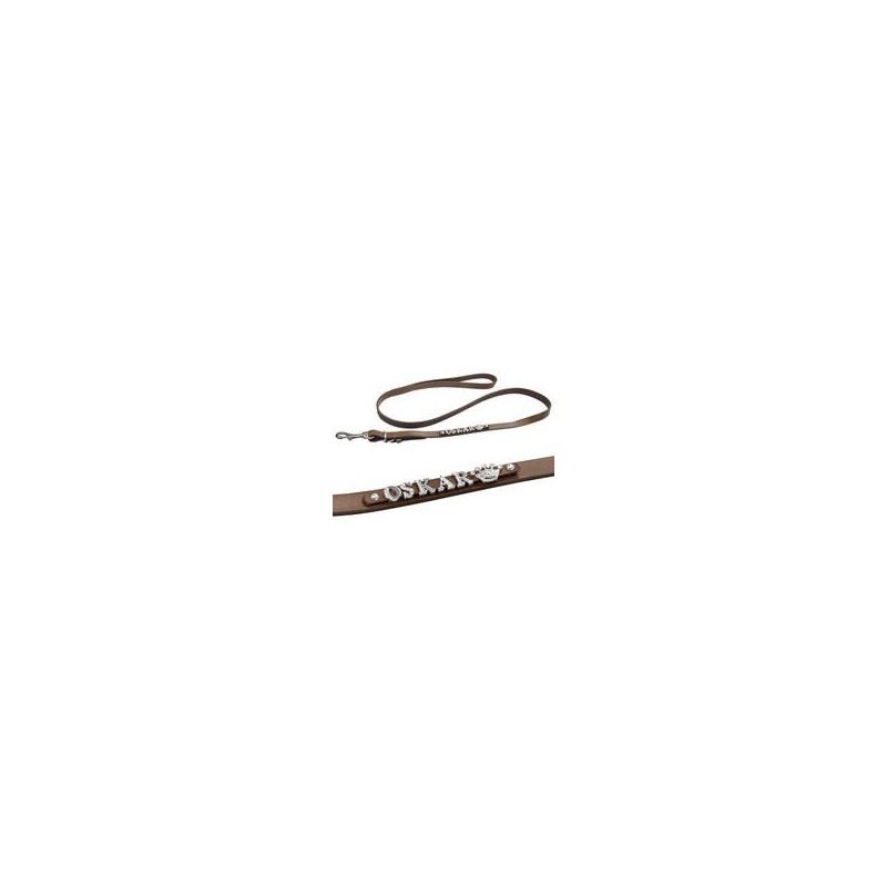 Schecker - MyName Lederleine, braun [120 cm x 15 mm - Buchstabentyp: Cowboy]