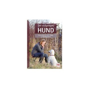 Der aufgeregte Hund: Gemeinsam zu mehr Ruhe und Gelassenheit