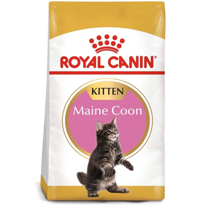 ROYAL CANIN Maine Coon Trockenfutter für Kätzchen 4kg
