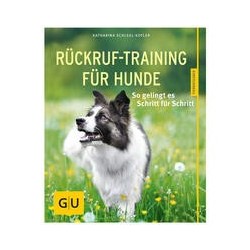 Rückruf-Training für Hunde: So gelingt es Schritt für Schritt
