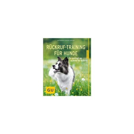 Rückruf-Training für Hunde: So gelingt es Schritt für Schritt