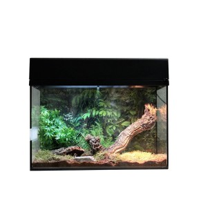 Lucky Reptile Terrarium Starter Kit 50 cm "Spinne + Skorpion" schwarz