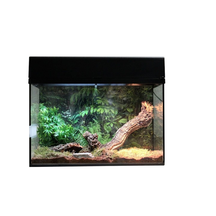 Lucky Reptile Terrarium Starter Kit 50 cm "Spinne + Skorpion" schwarz