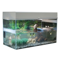 Lucky Reptile Terrarium Starter Kit 80 cm "Wasserschildkröte" weiß