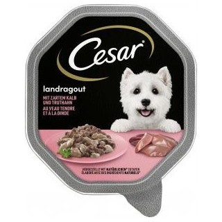 Cesar Landragout mit zartem Kalb und Truthahn