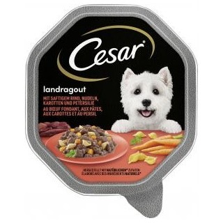 Cesar Landragout mit saftigem Rind, Nudeln, Karotten und Petersilie