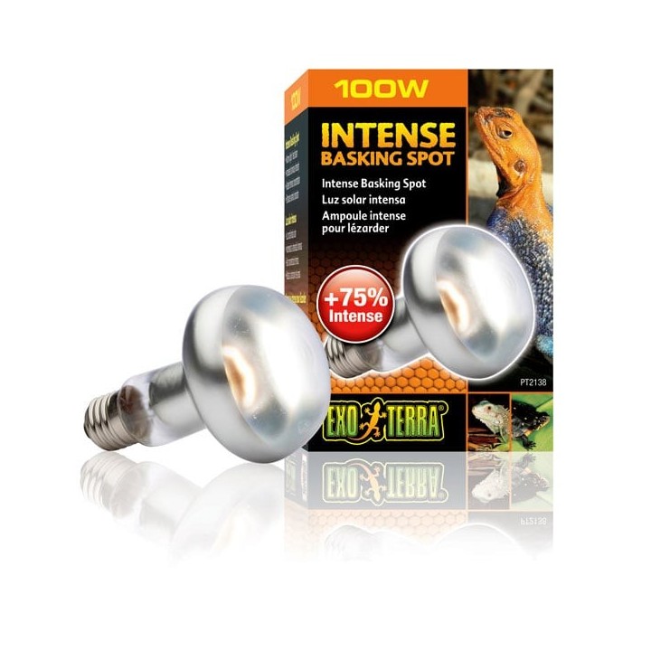 Exo Terra Intense Basking Spot 100