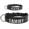 Schecker - MyName Leder-Halsband, schwarz [30 cm x 15 mm - ohne Buchstaben]