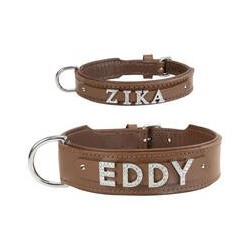 Schecker - MyName Leder-Halsband, braun [30 cm x 15 mm - ohne Buchstaben]