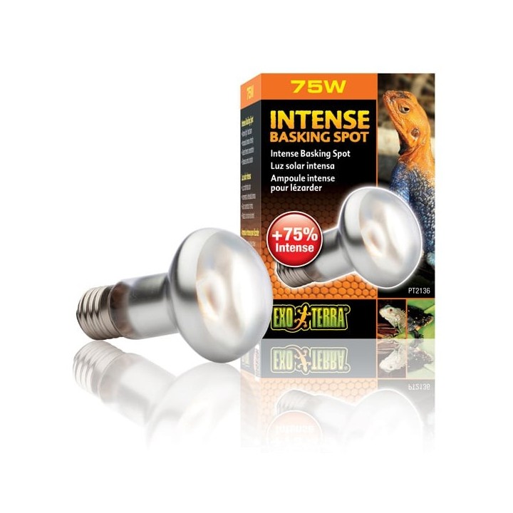 Exo Terra Intense Basking Spot 75