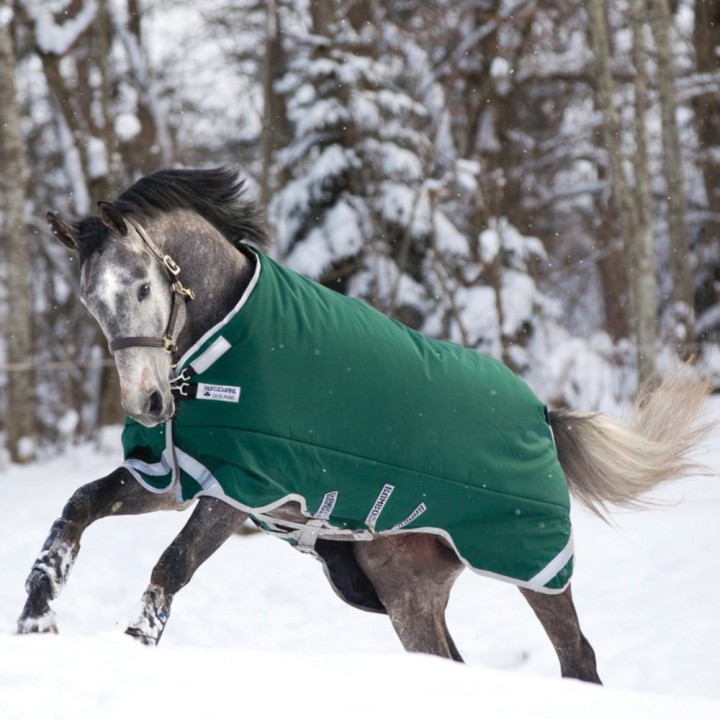 Horseware Rambo Original with Leg Arches Turnout Heavy 400g - Green/Silver