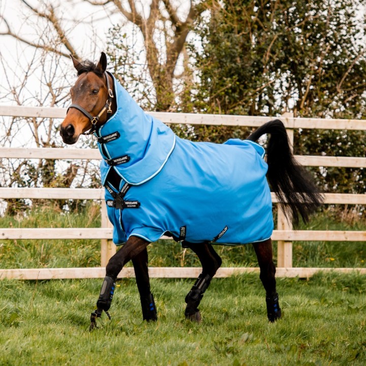Horseware Amigo Hero 900 Plus Turnout Medium Disc Front 200g - Daphne Blue