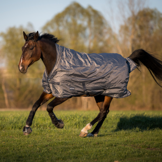 Busse Outdoordecke Rain-Dear 200g - grau (navy)