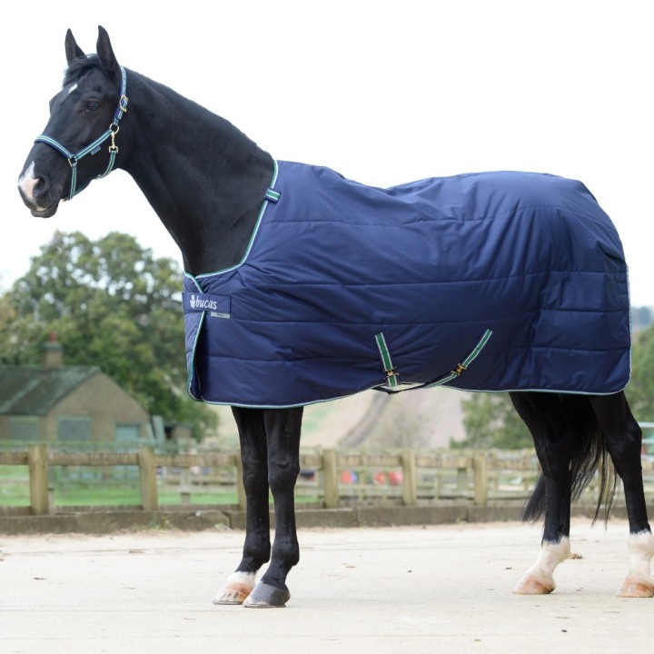 Bucas Quilt 150g SF Big Neck - Navy