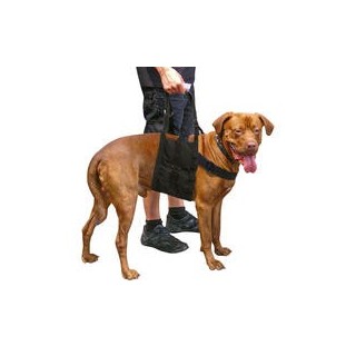 Schecker - Beppo® Hunde-Gehhilfe "One-Size"