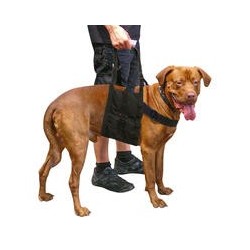 Schecker - Beppo® Hunde-Gehhilfe "One-Size"