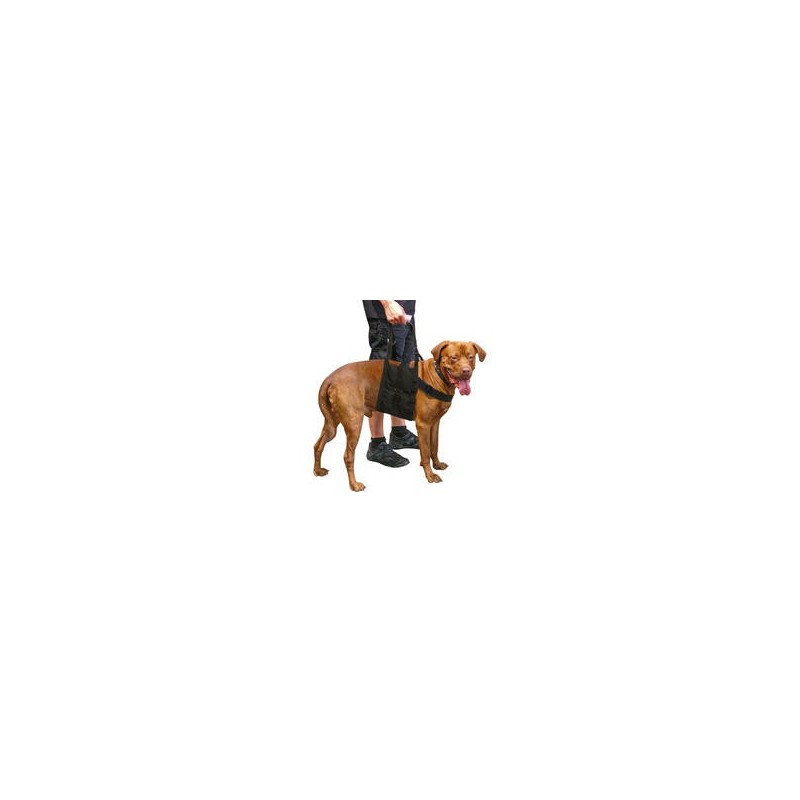 Schecker - Beppo® Hunde-Gehhilfe "One-Size"