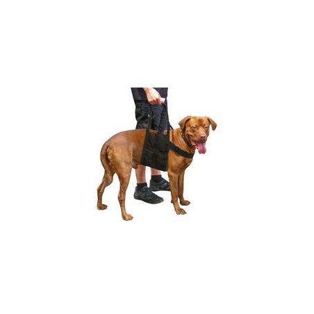 Schecker - Beppo® Hunde-Gehhilfe "One-Size"