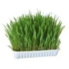 Kerbl Nagergras - 100 g