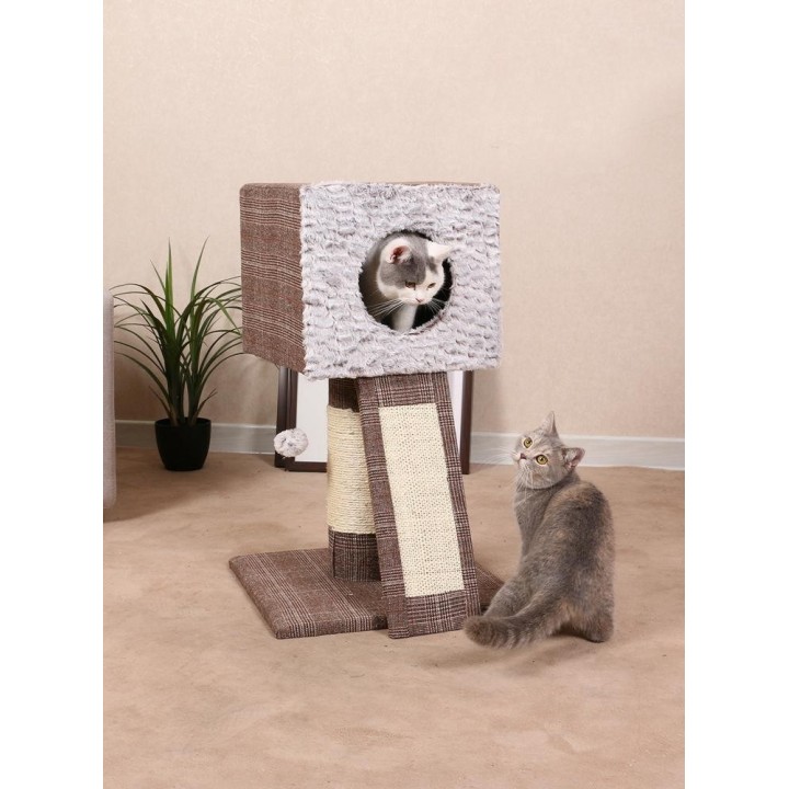 Kratzbaum "Schottland I"