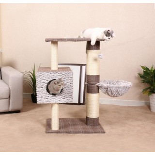 Kratzbaum "Schottland II"