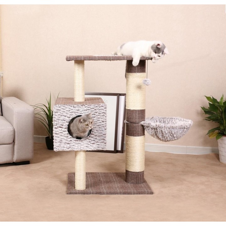 Kratzbaum "Schottland II"