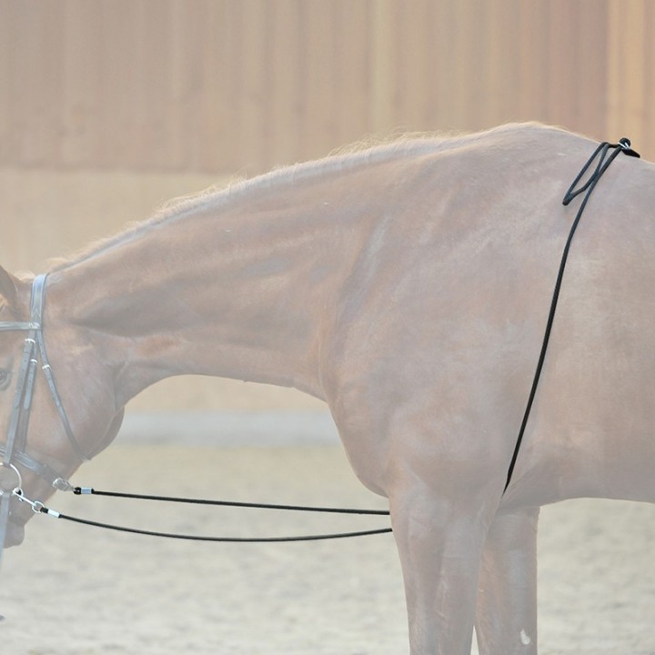 Kavalkade Longierhilfe HO