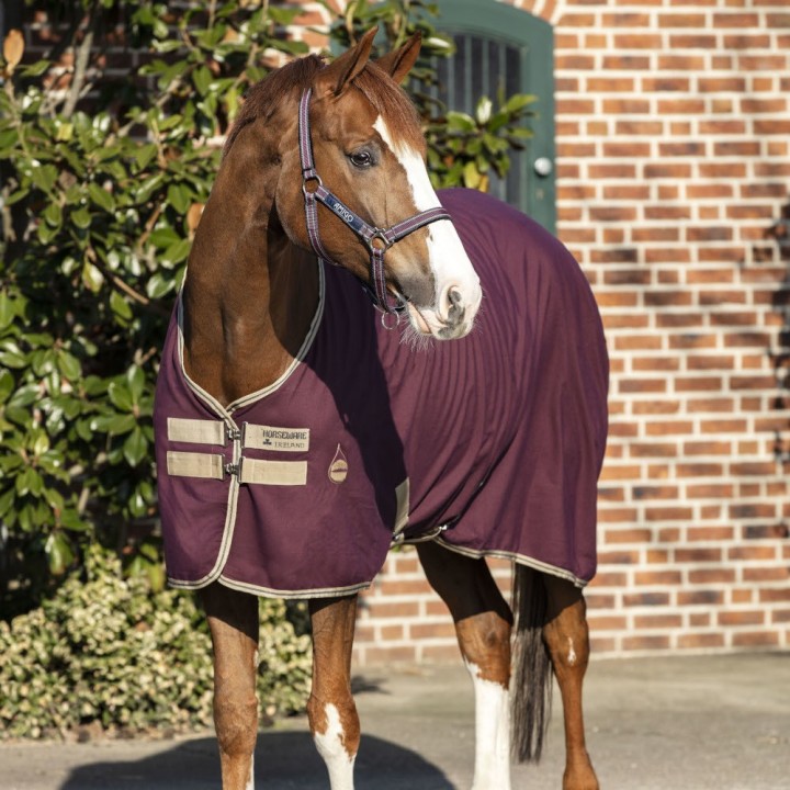 Horseware Amigo Stable  Sheet 0g - Fig/Navy