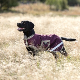 Horseware Amigo Dog Rug Ripstop 100g