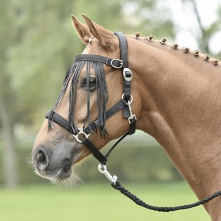 Busse Fliegenkordelband Tampere - schwarz