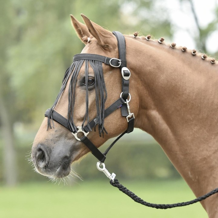 Busse Fliegenkordelband Tampere - schwarz