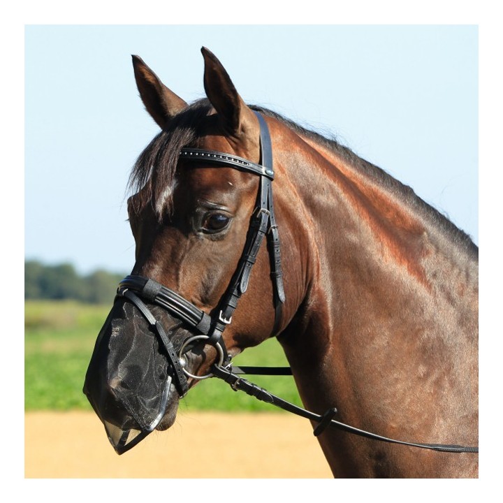 Busse Nüsternschutz FLY PROTECTOR - schwarz