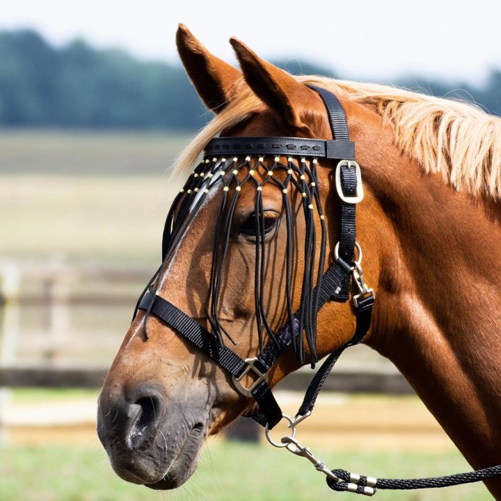 Busse Fliegenkordelband EXKLUSIV - schwarz