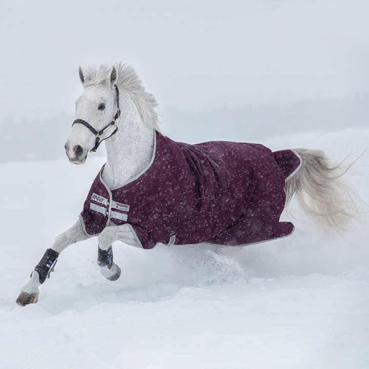 Horseware Amigo Hero Ripstop 200g - Fig/Silver