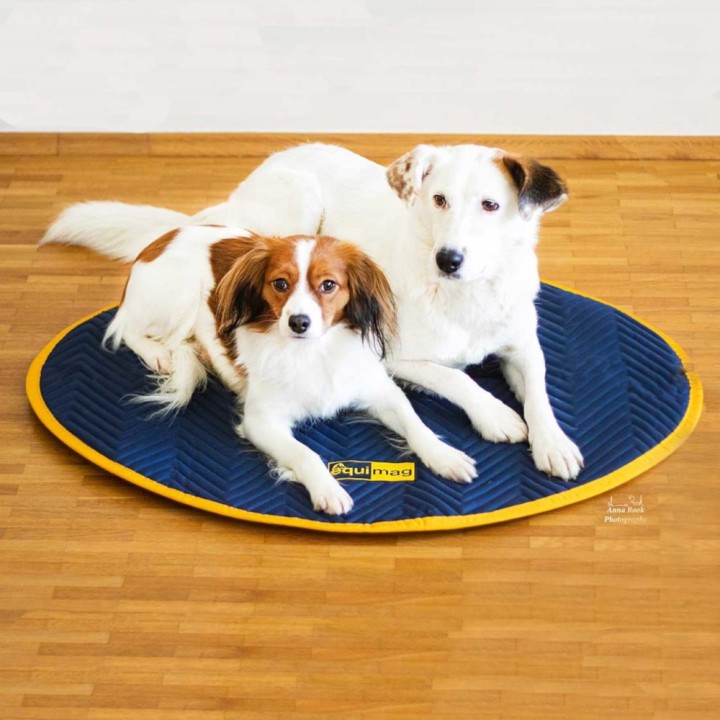 equimag expert Kleintiermatte