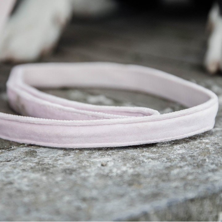Kentucky Dogwear Hundeleine Dog Lead "Velvet" - Hell Rosa