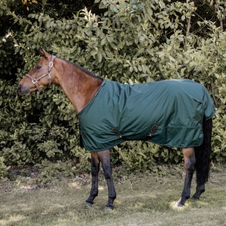Kentucky Horsewear All Weather Turnout 160g - Dunkelgrün