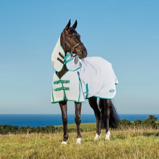 Weatherbeeta Green-Tec 900D Combo Lite Plus 50g - light grey/bottle green