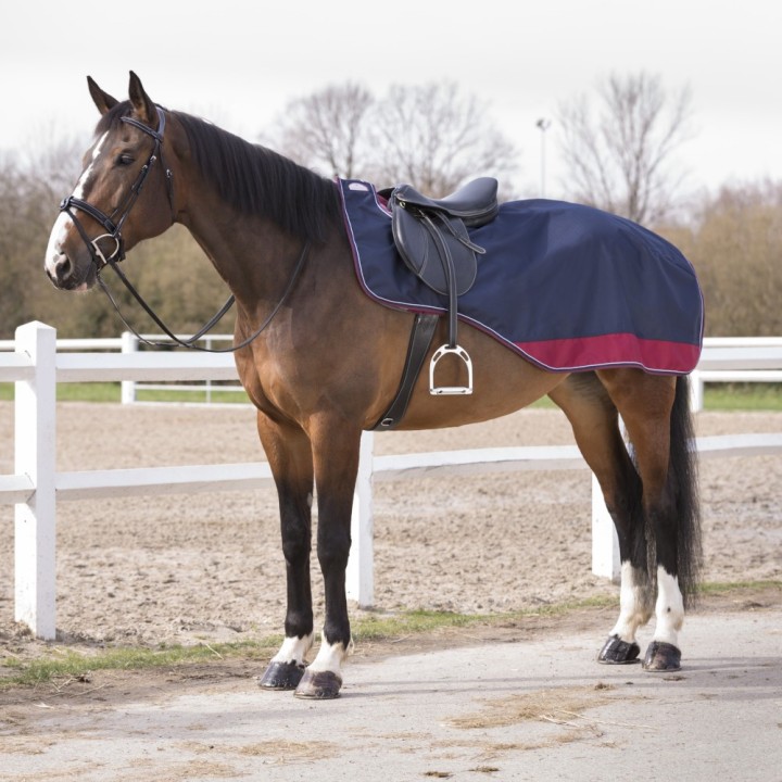 Equithème Tyrex 1200D Nierendecke - marineblau/bordeauxrot