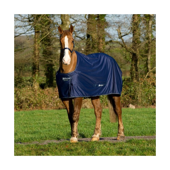 Bucas Shamrock Power - navy/silver