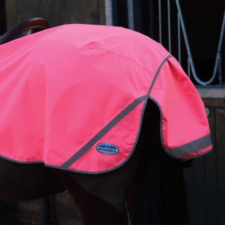 Weatherbeeta reflektierende Ausreitdecke 300D - pink