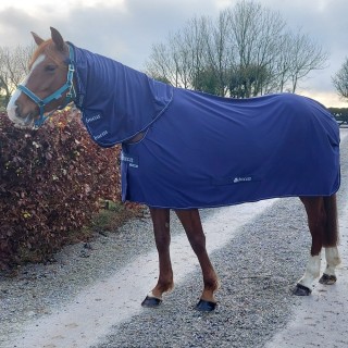 Bucas Power Cooler & Neck - Navy/Silver