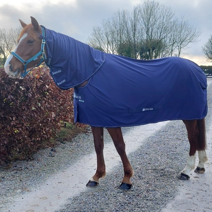 Bucas Power Cooler & Neck - Navy/Silver