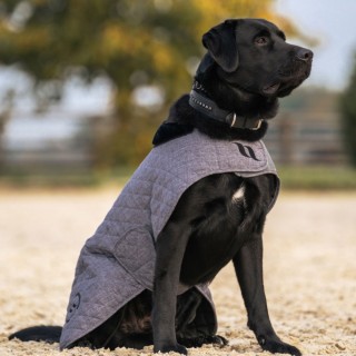 Back on Track Haze Collection Hundemantel - grau