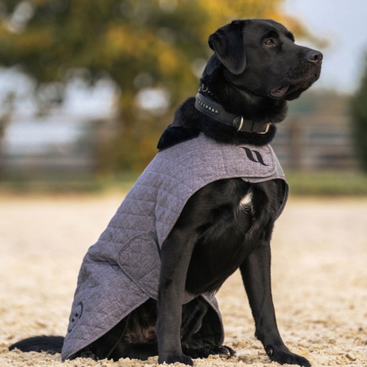 Back on Track Haze Collection Hundemantel - grau