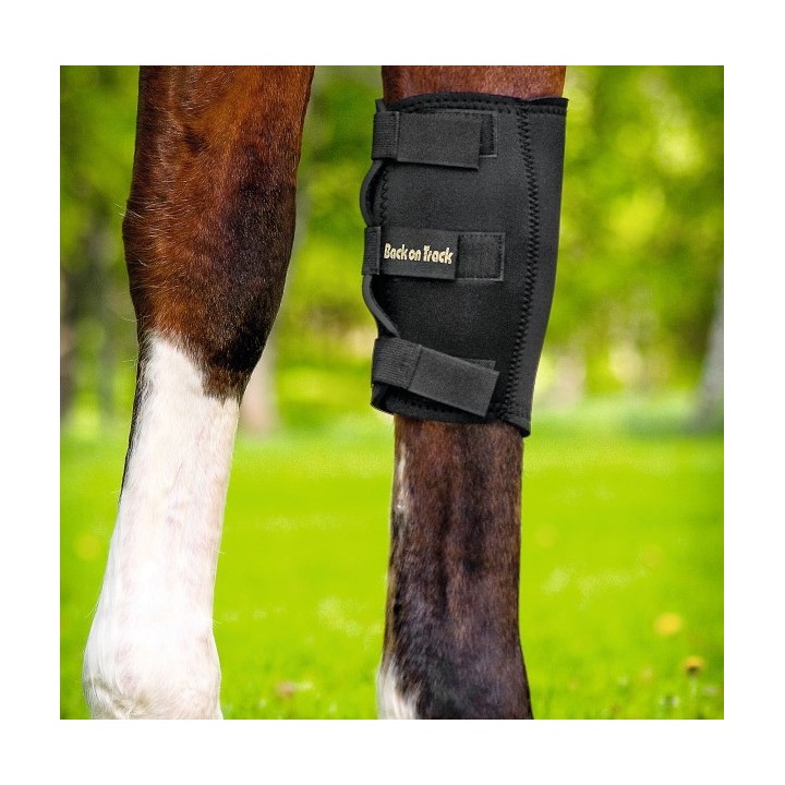 Back on Track Karpalgelenkschoner -rechts - schwarz