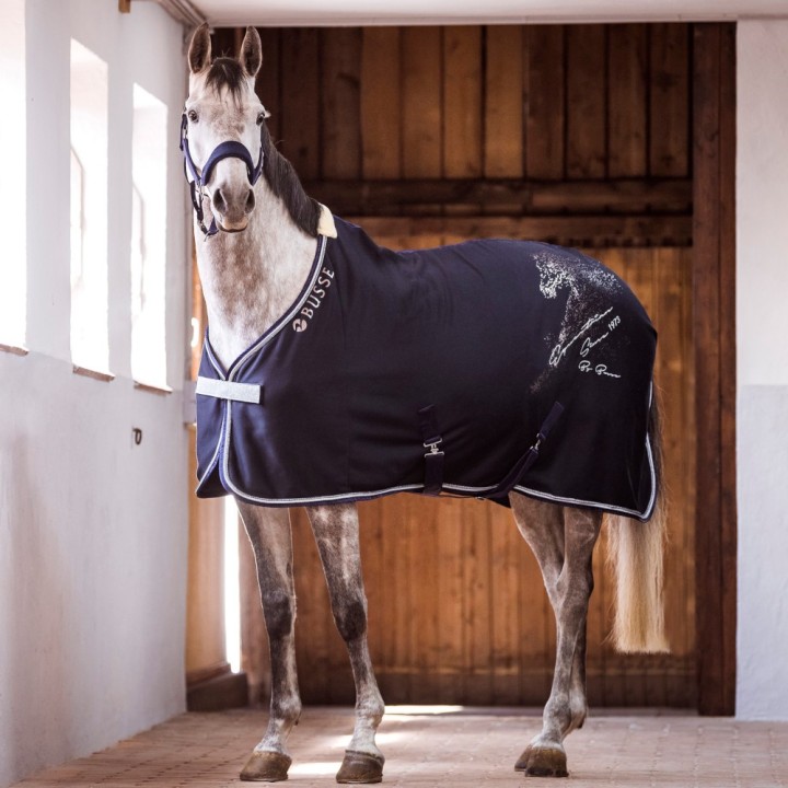 Busse Abschwitzdecke Jersey Fashion - navy